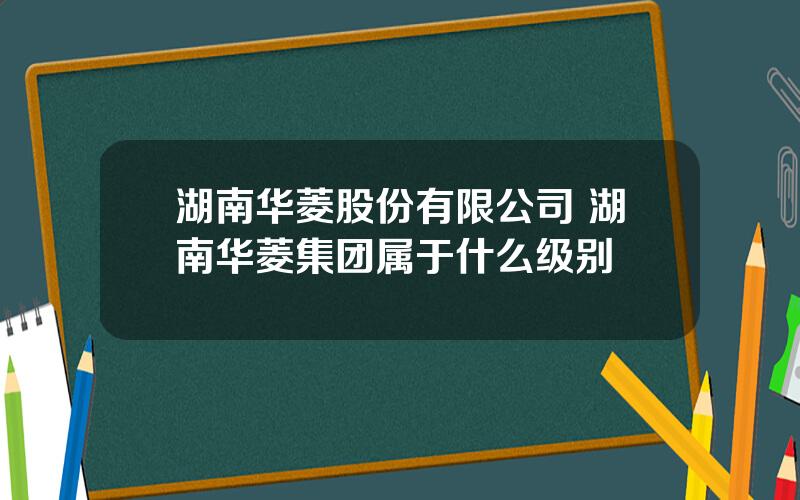 湖南华菱股份有限公司 湖南华菱集团属于什么级别